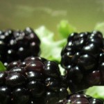 Brombærsalat