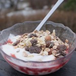 Skyr med vanilje, jordbærmarmelade og mysli