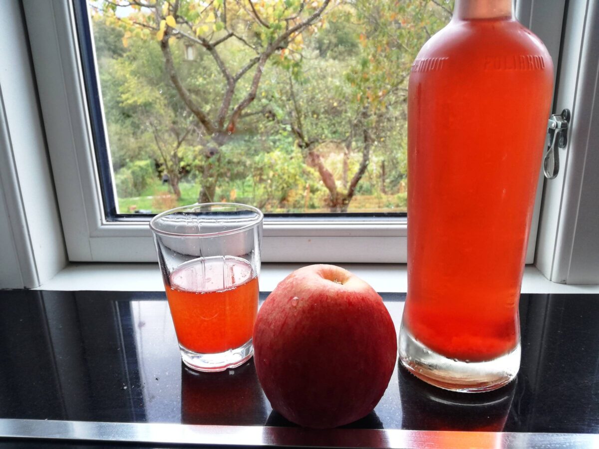Æblesaft og jonagold æble