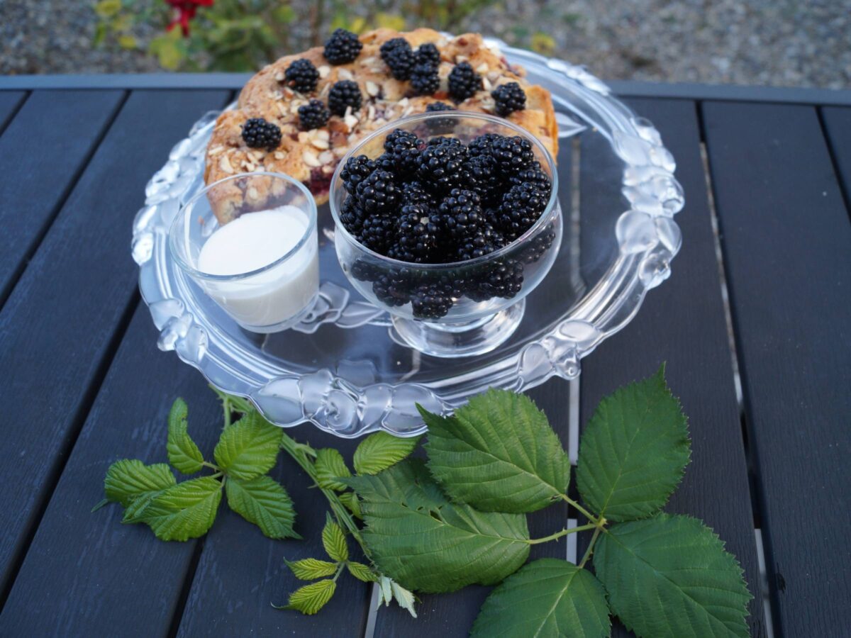 Brombærkage med vaniljecremefraiche og friske brombær