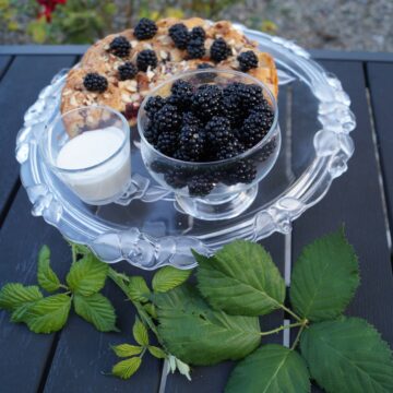 Brombærkage med vaniljecremefraiche og friske brombær