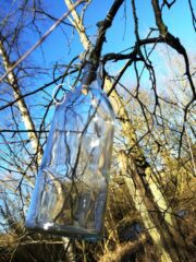 Flaske på birketræ