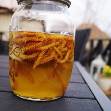 Hasselrakler i vodka - dag 2