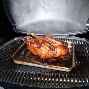Hel and i gasgrill