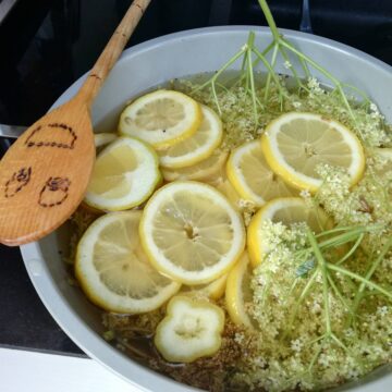 Hyldeblomst og citron