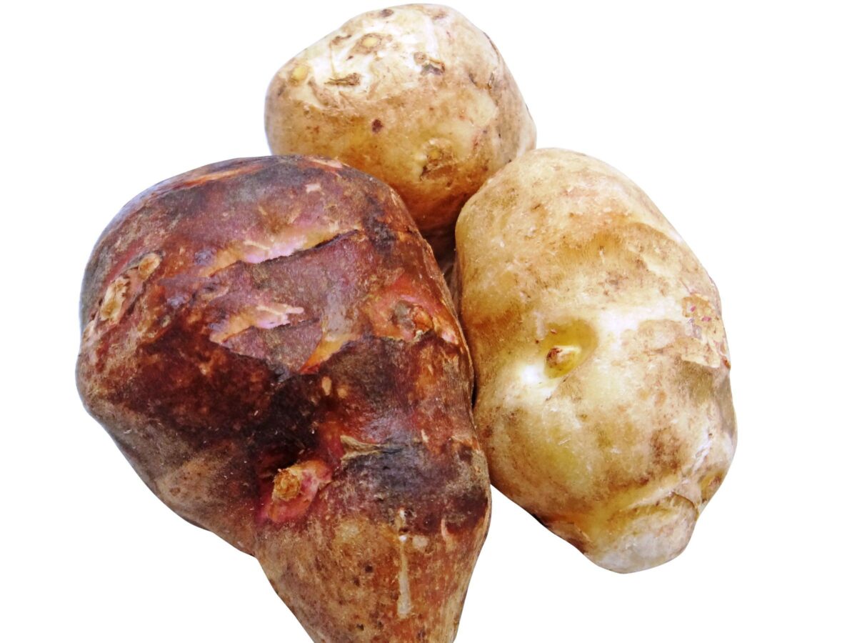 Jordskokke Fritter – Jordskokker fritter