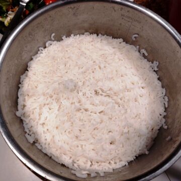 Kogte ris