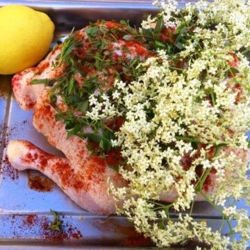 Kylling med nyplukkede hyldeblomster og citron