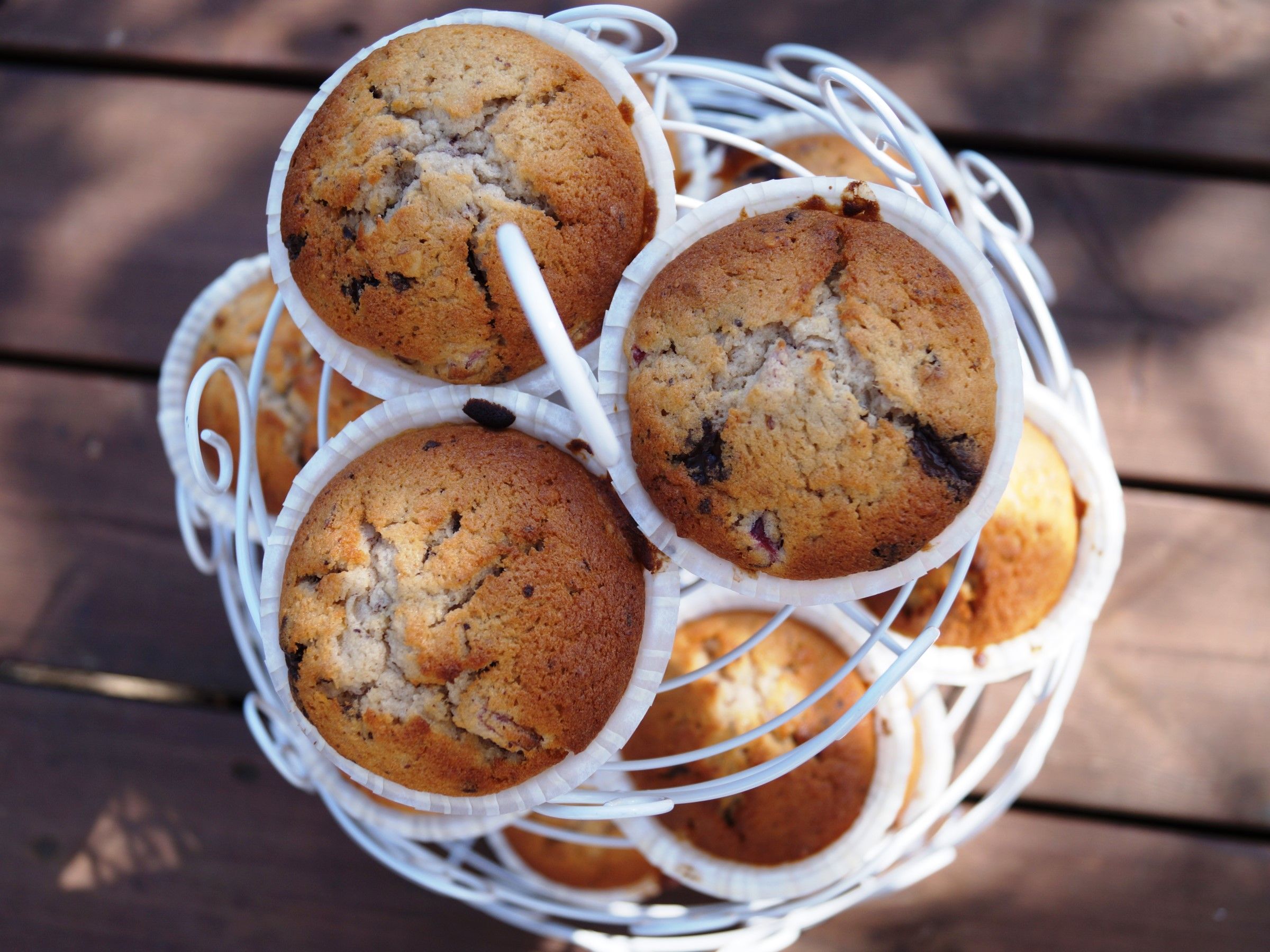 Rabarber muffins med mørk chokolade og appelsin