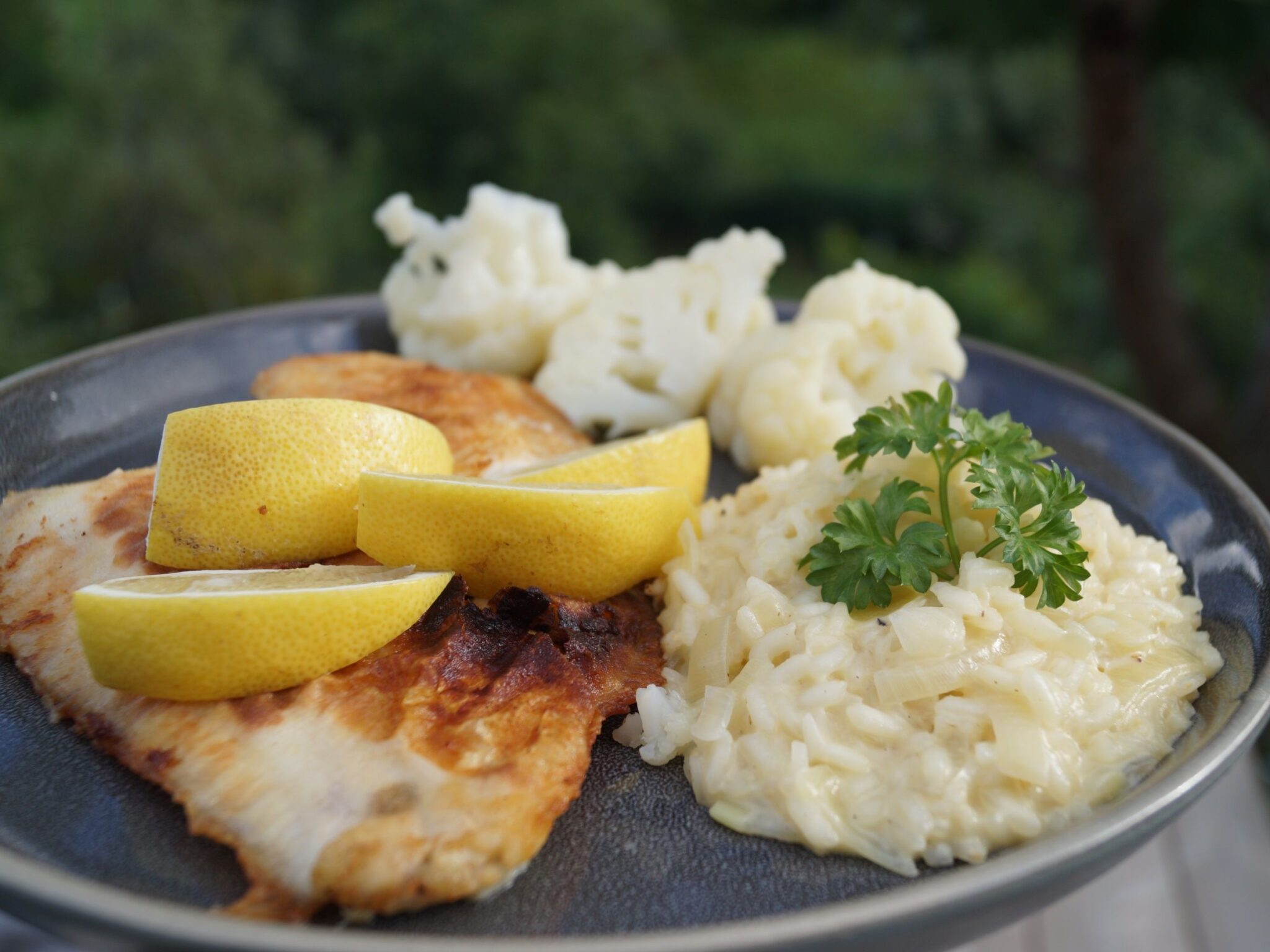 Fisk med risotto - Rødspætte i risotto - Sund aftensmad - Min Madopskrift