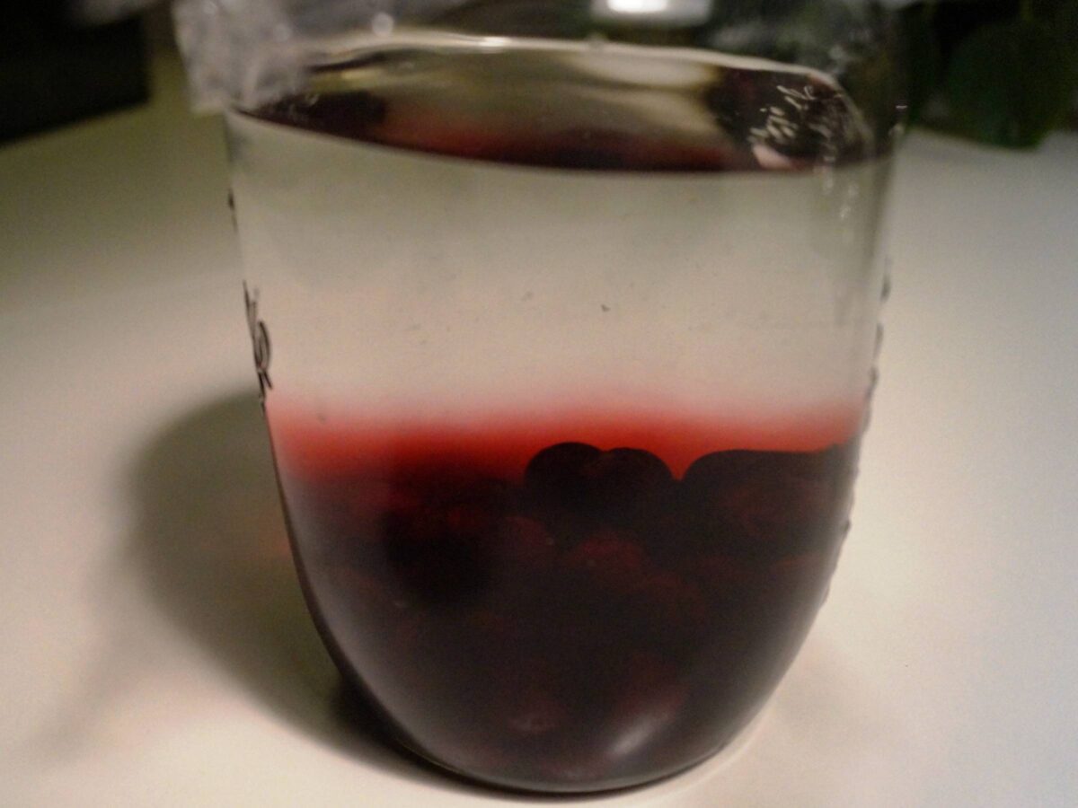 Slåenbær i glas med vodka
