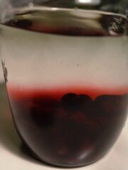 Slåenbær i glas med vodka