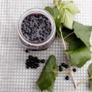 Solbærmarmelade hjemmelavet