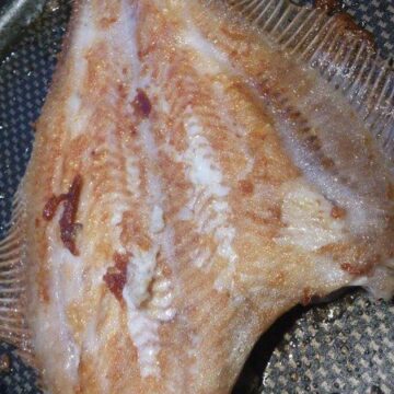Stegt fladfisk