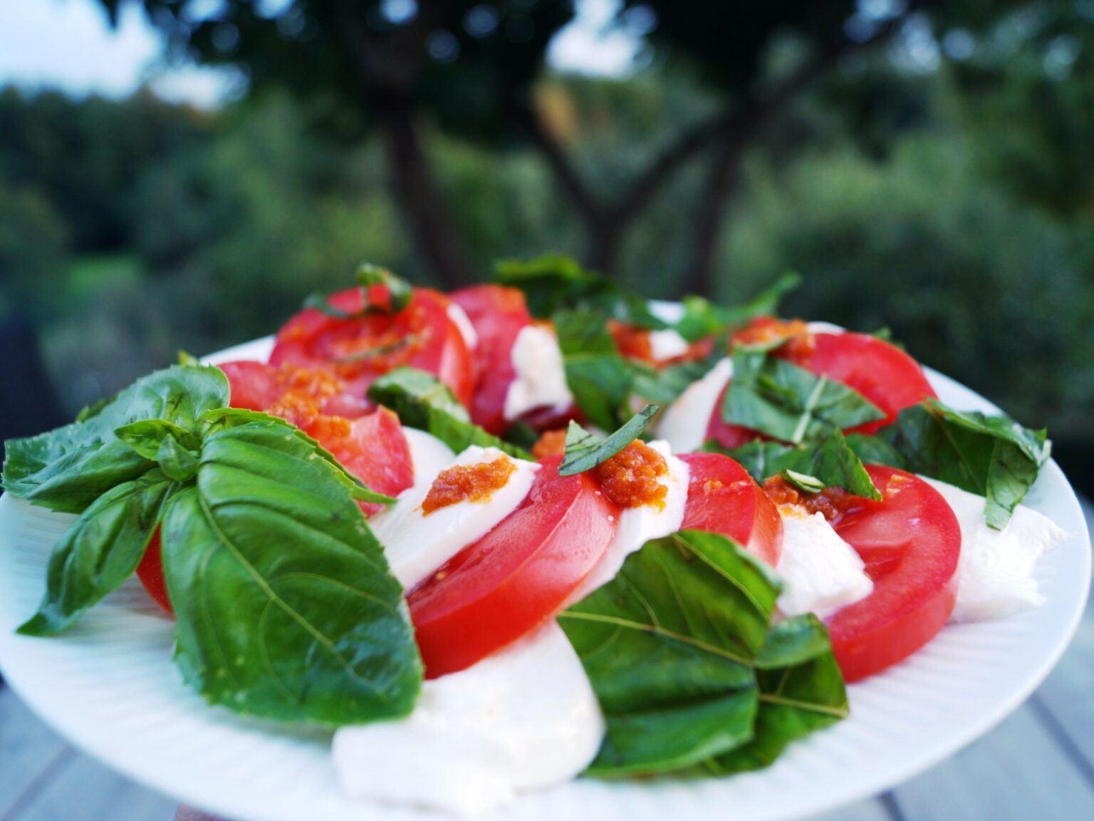 Tomatsalat med mozzarella - Tomatsalat med pesto - Min Madopskrift