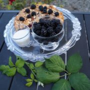 Brombærkage med vaniljecremefraiche og friske brombær