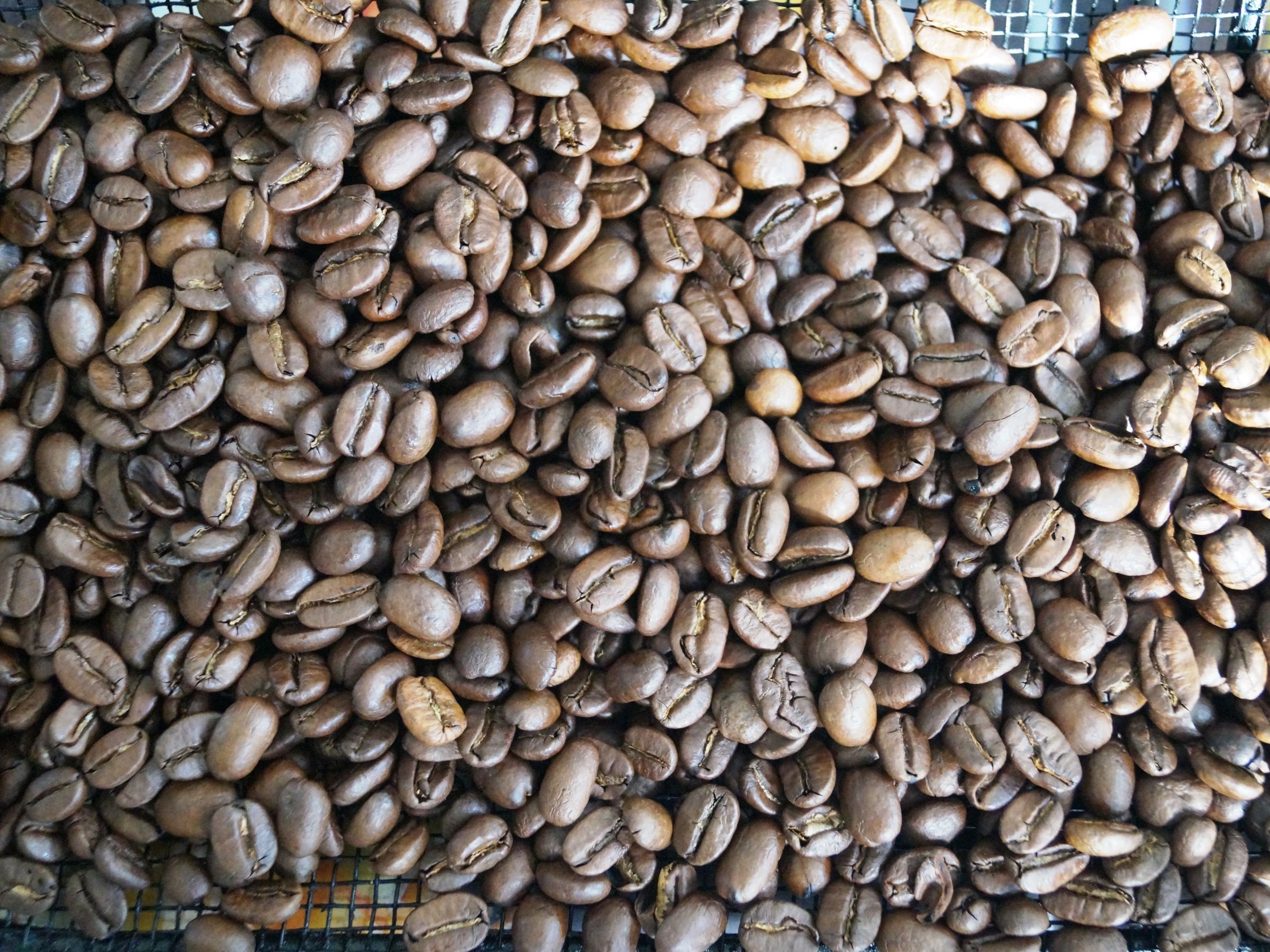 Kaffebønner mellemristet